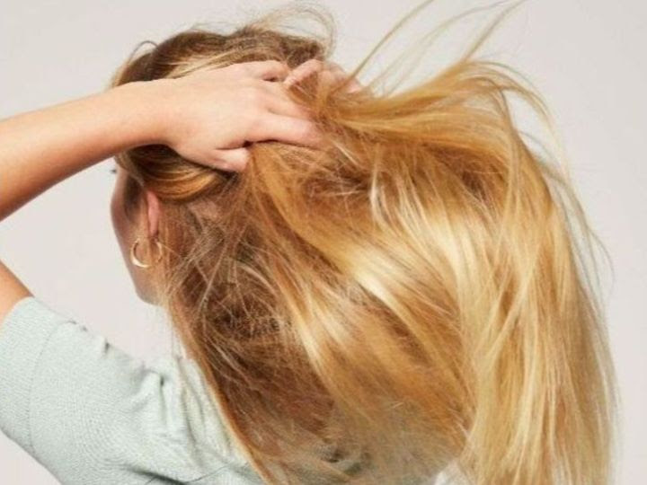 Racines grasses pointes sèches